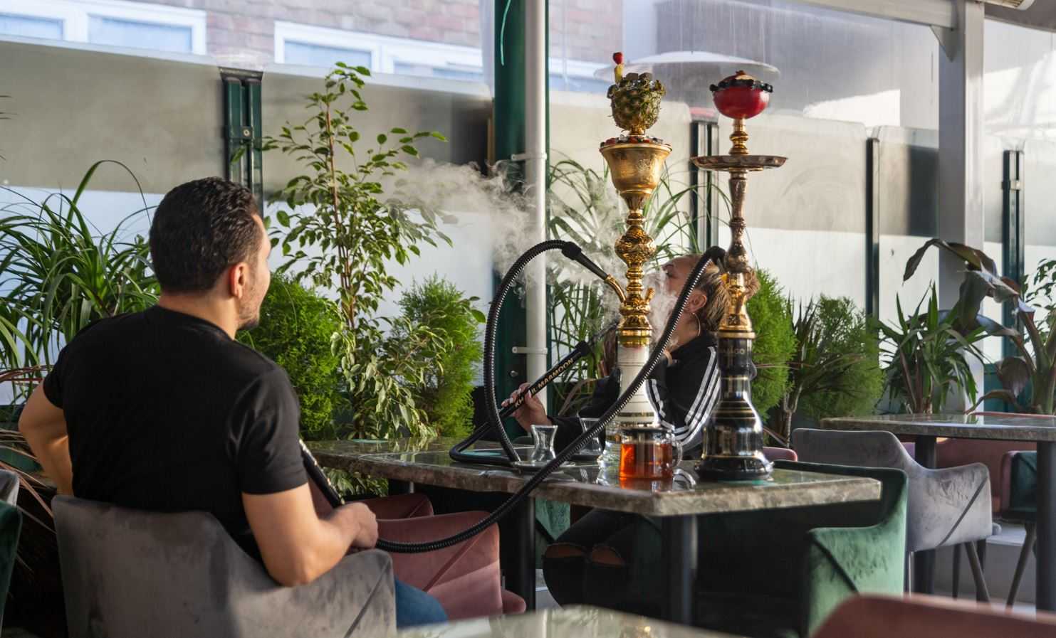 Shisha: scelta della melassa in commercio