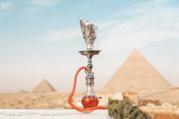 Shisha una guida degli  esperti per preparare il narghilè